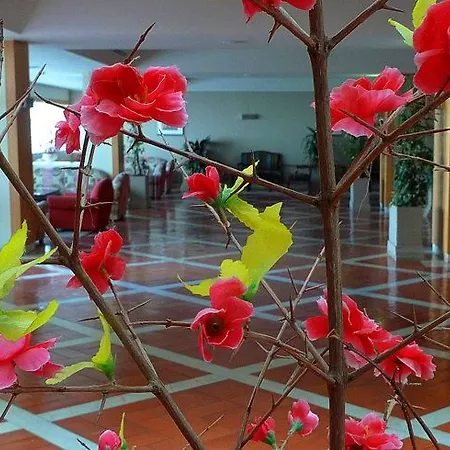 Sol Hotel&spa Hotel